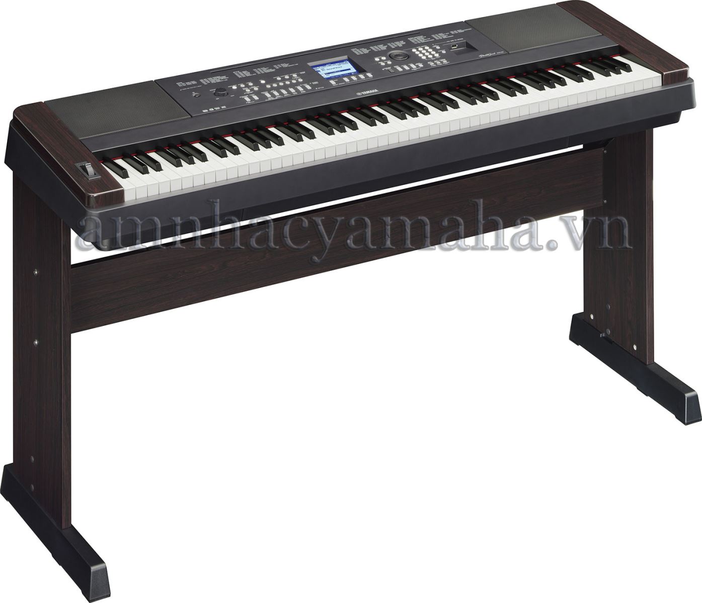Đàn Piano Kỹ thuật số DGX-650B