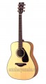 Đàn Guitar Acoustic (Guitar thùng) YAMAHA F310P