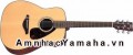 Đàn Guitar Acoustic (Guitar thùng) YAMAHA FG700S