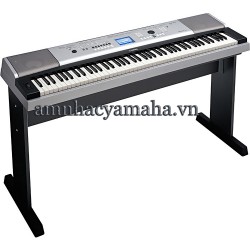 Đàn organ điện tử Yamaha DGX-530