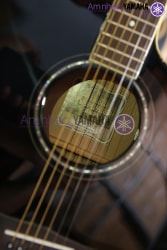 Đàn Acoustic guitar Yamaha CPX500II