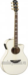 Guitar Acoustic điện APX1000