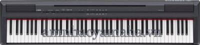 Đàn Piano Kỹ thuật số YAMAHA P-105B