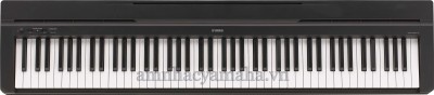 Đàn Piano Kỹ thuật số YAMAHA P-35B